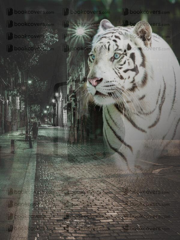 mu-designs_26128808