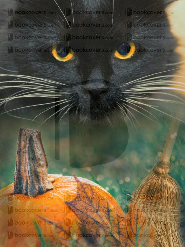 mu-designs_26129568