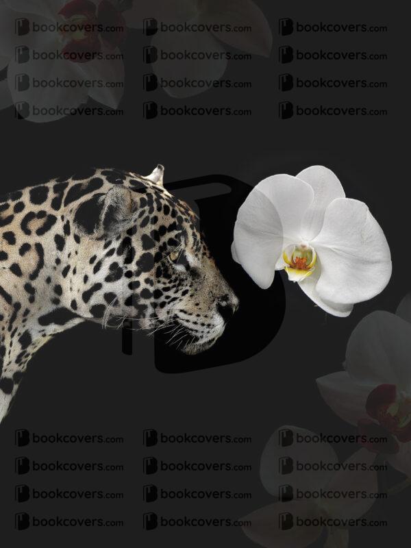 mu-designs_26129204
