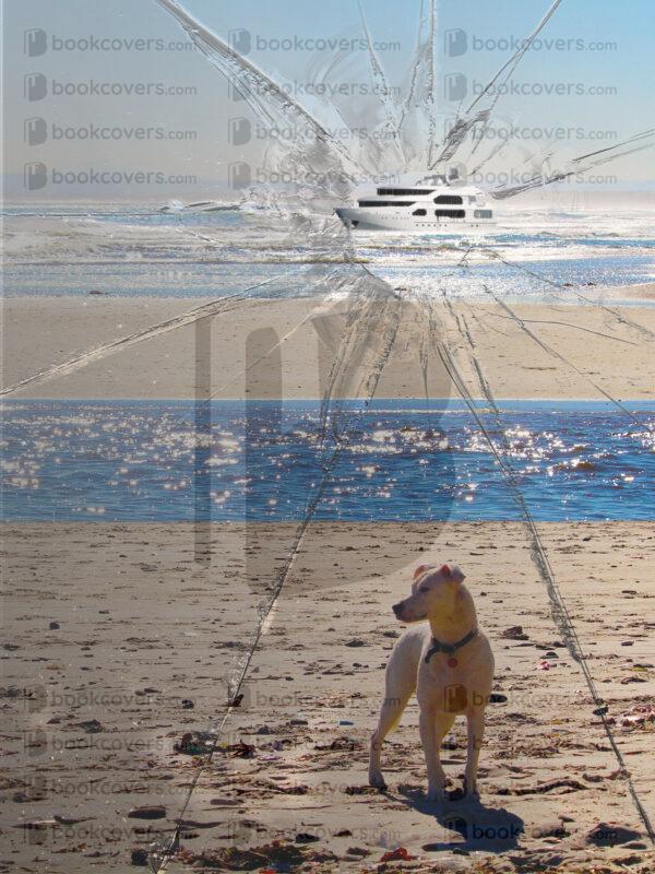 acapellabookcoverdesign_26130742