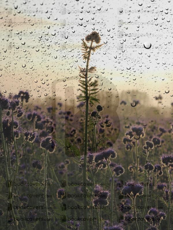 acapellabookcoverdesign_26130804