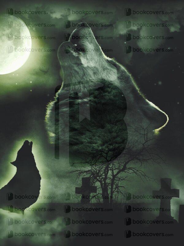 acapellabookcoverdesign_26132503