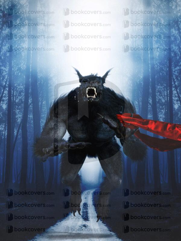 acapellabookcoverdesign_26134357