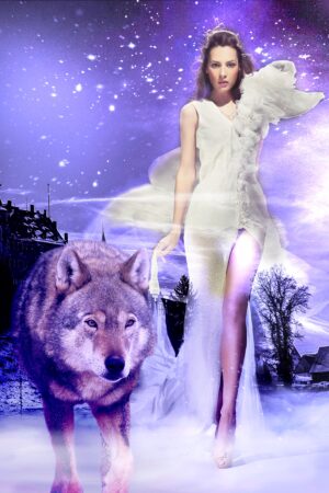 acapellabookcoverdesign_26134091