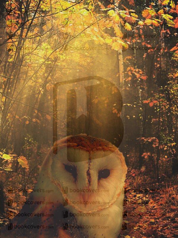 blaminousartdesigns_26149833