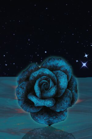 blaminousartdesigns_26129566