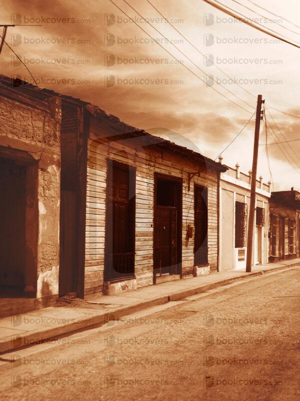 beejavier_26147352