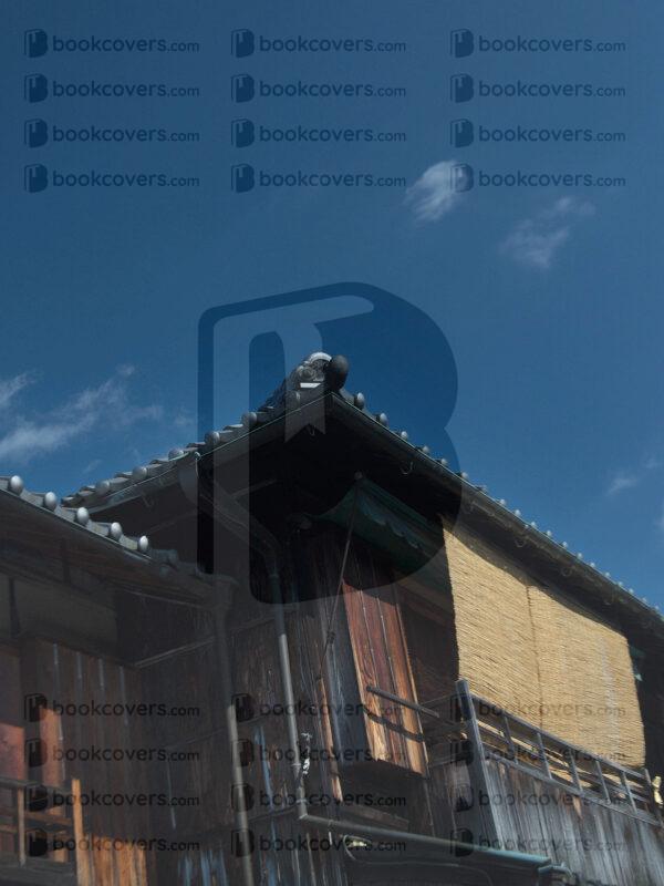 beejavier_26141910