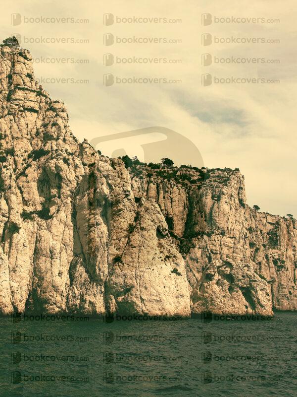 beejavier_26146201