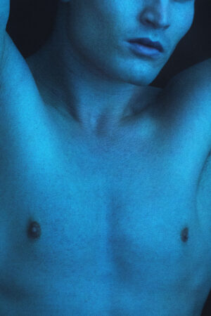 beejavier_26131276