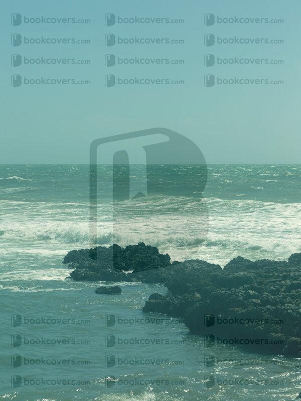 beejavier_26146018