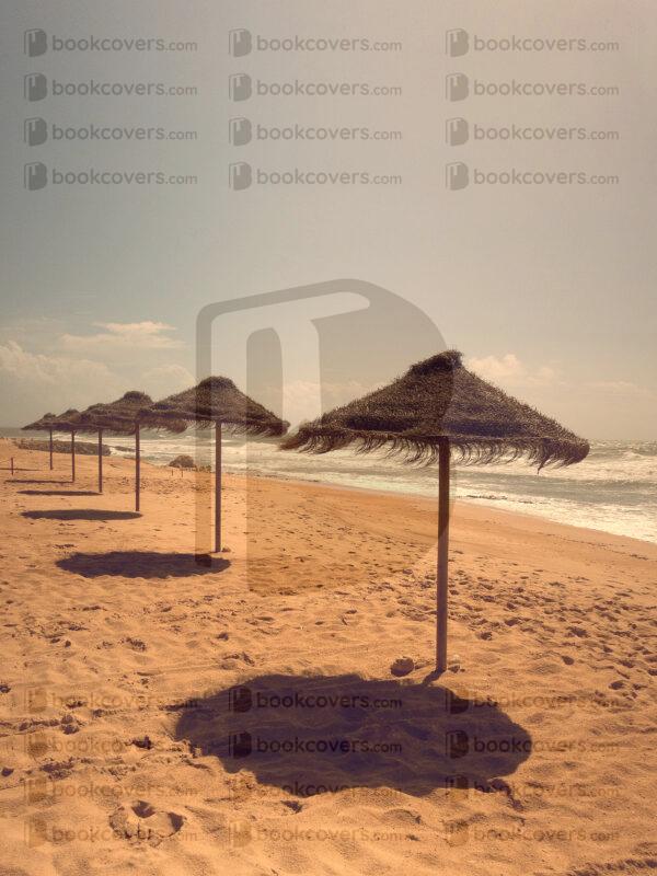 beejavier_26146343
