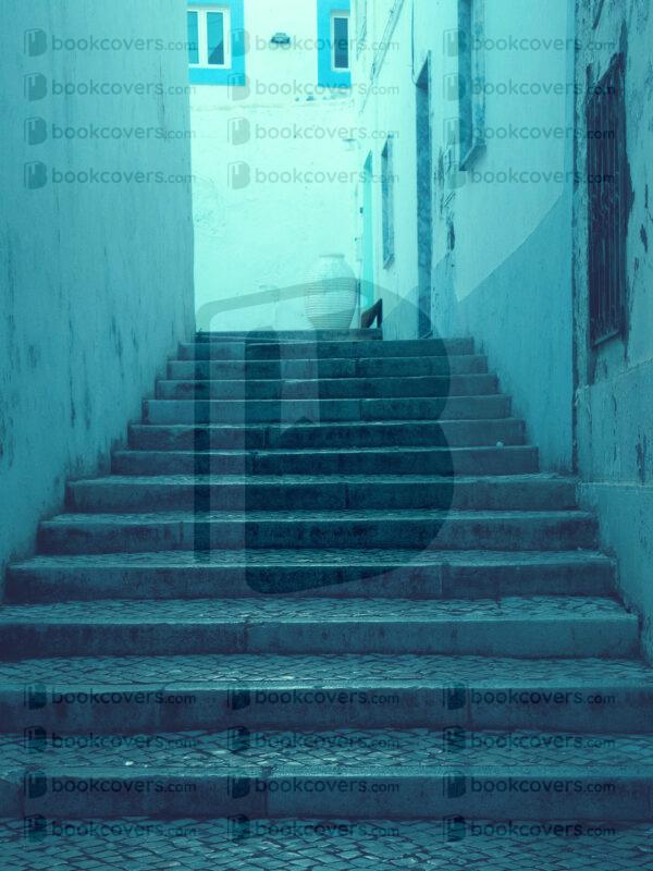 beejavier_26146724