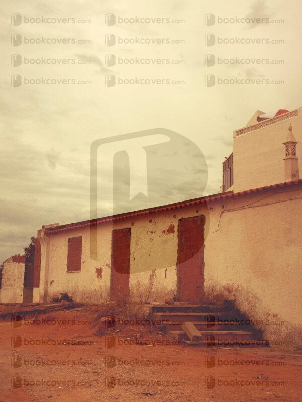 beejavier_26145391