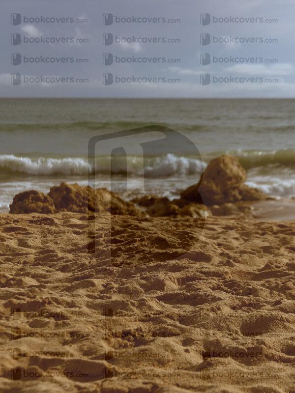 beejavier_26146099
