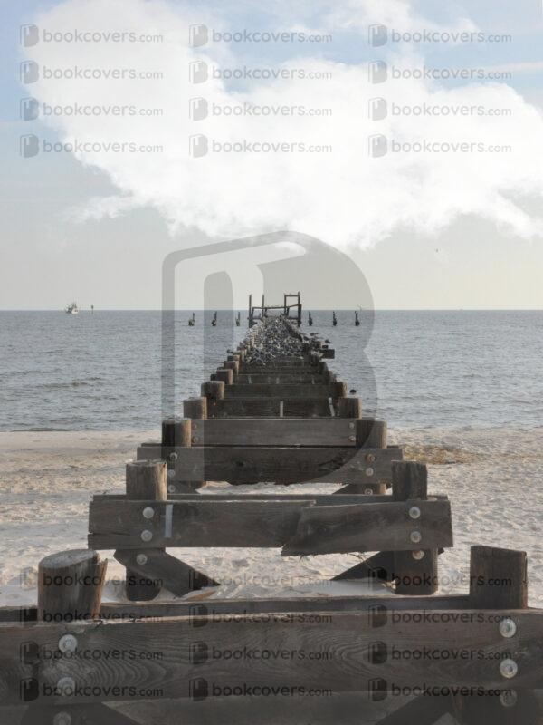 barthopkins_26153842