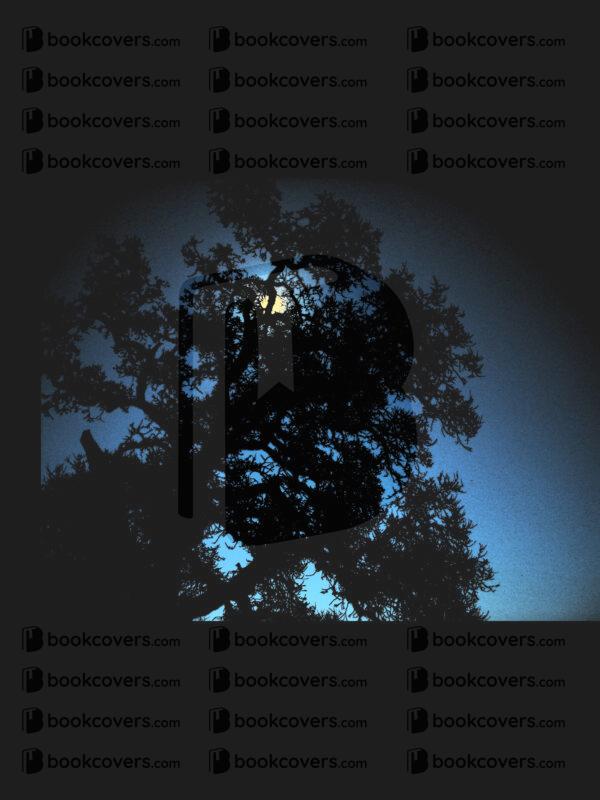 cbrownsf_26155905