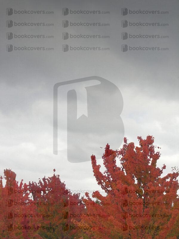 cbrownsf_26155416
