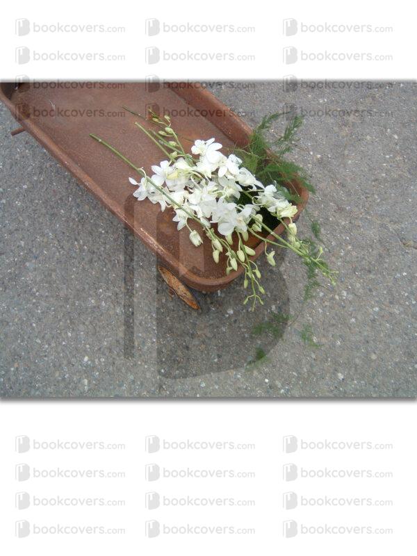 cbrownsf_26131629