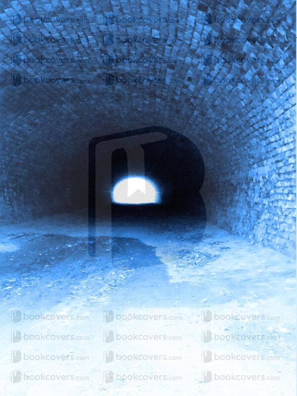 illustriouscovers_26132147