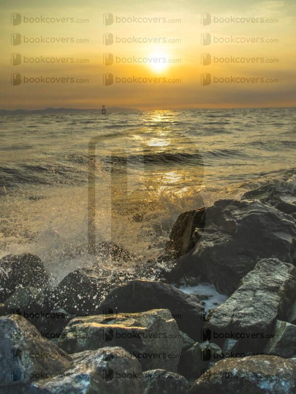leswott_26134340