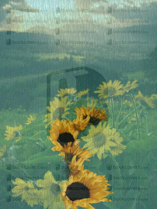 shellcreatives_26152956