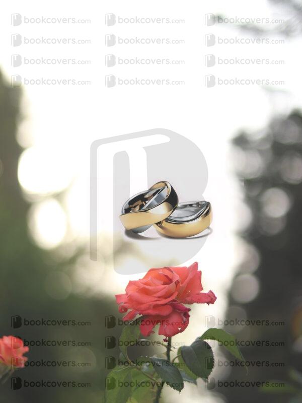 designs1213_26156933