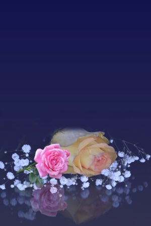 designs1213_26156961