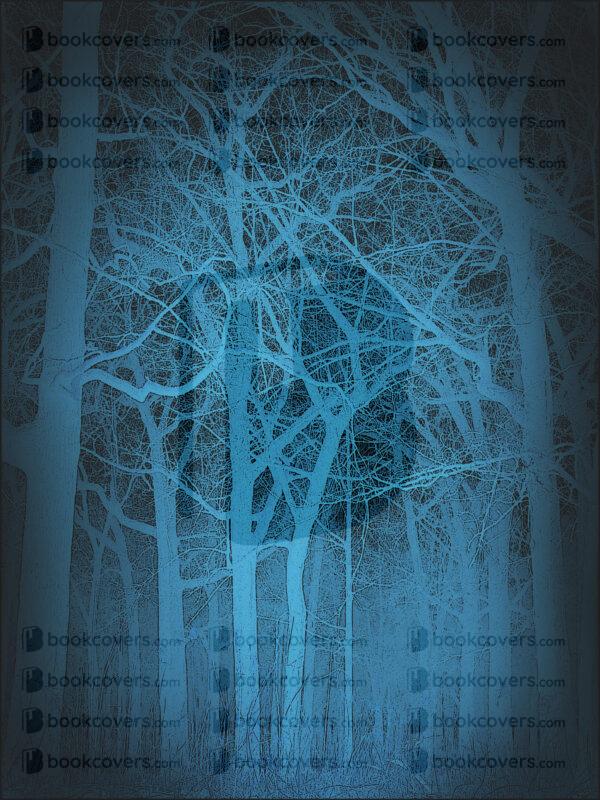 northernlight_26132044