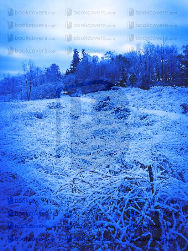 northernlight_26132727
