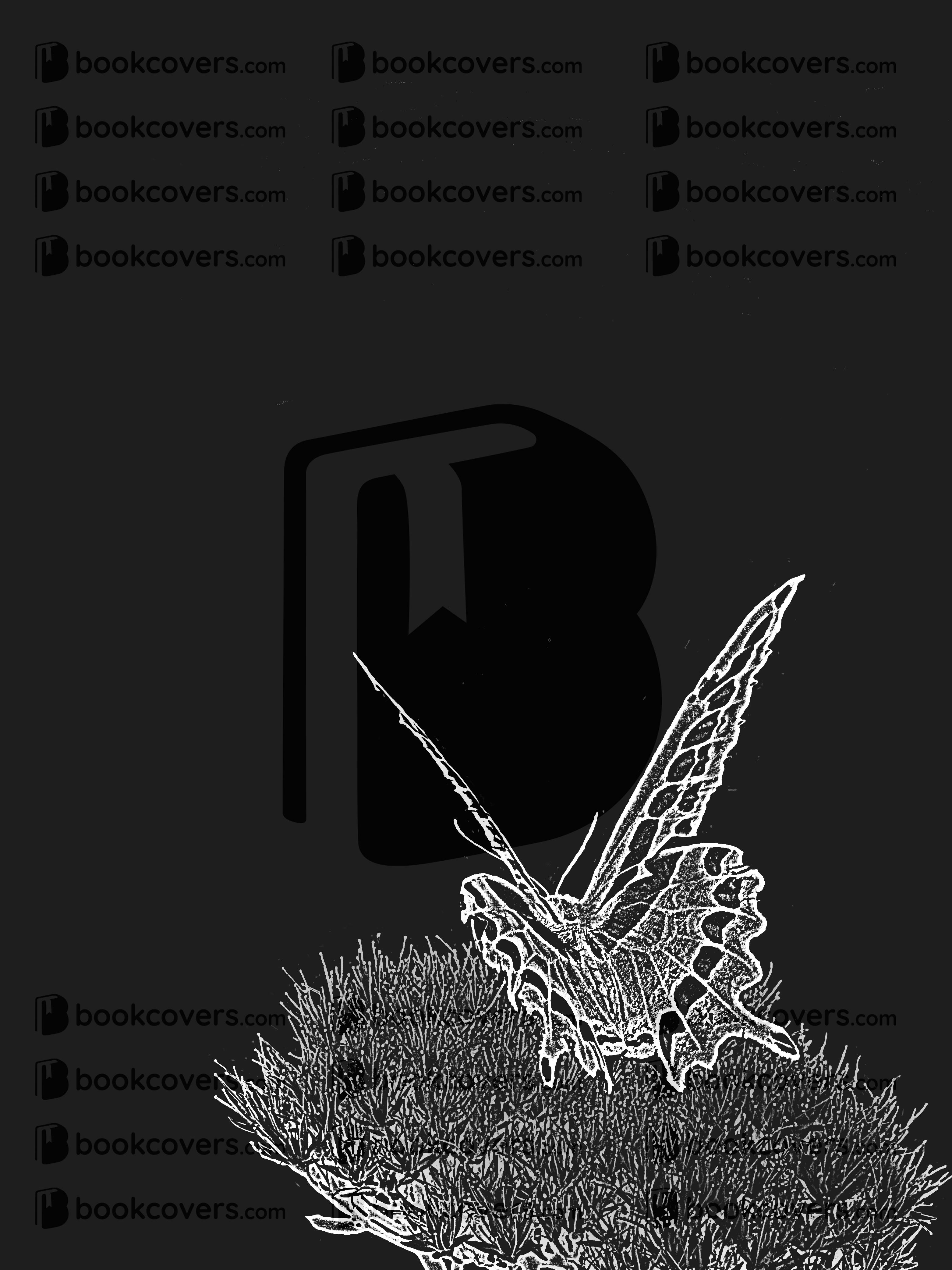 northernlight_26133523