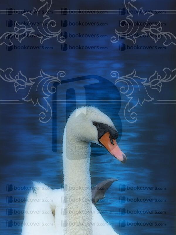 northernlight_26133063