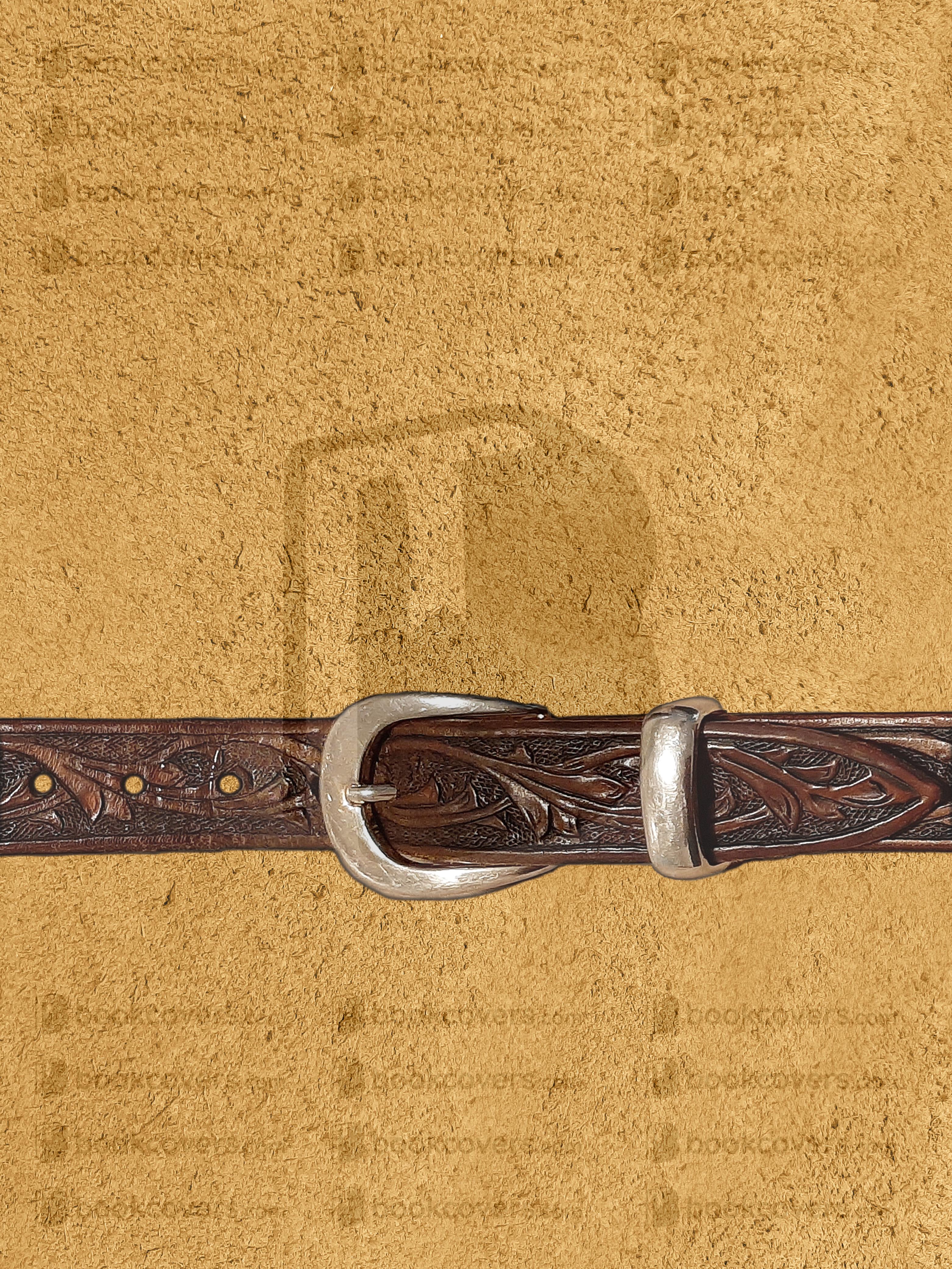 northernlight_26133794