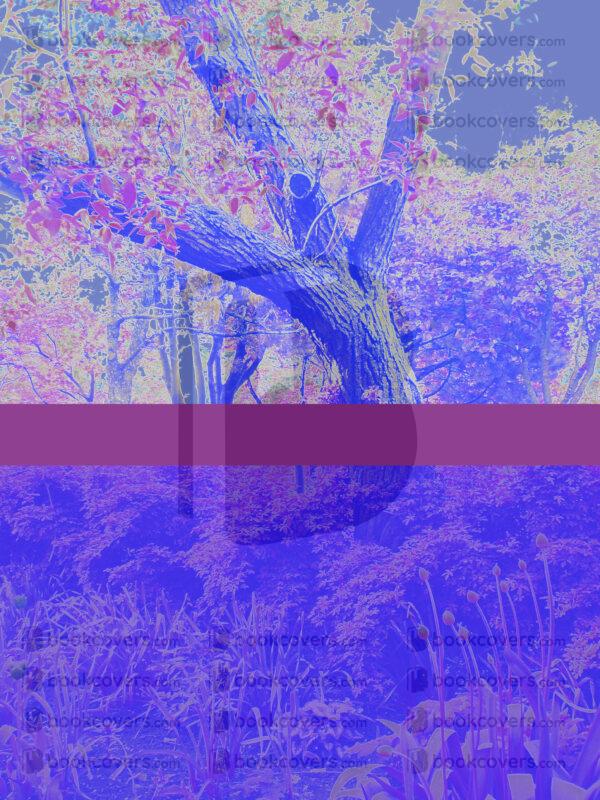 northernlight_26134352