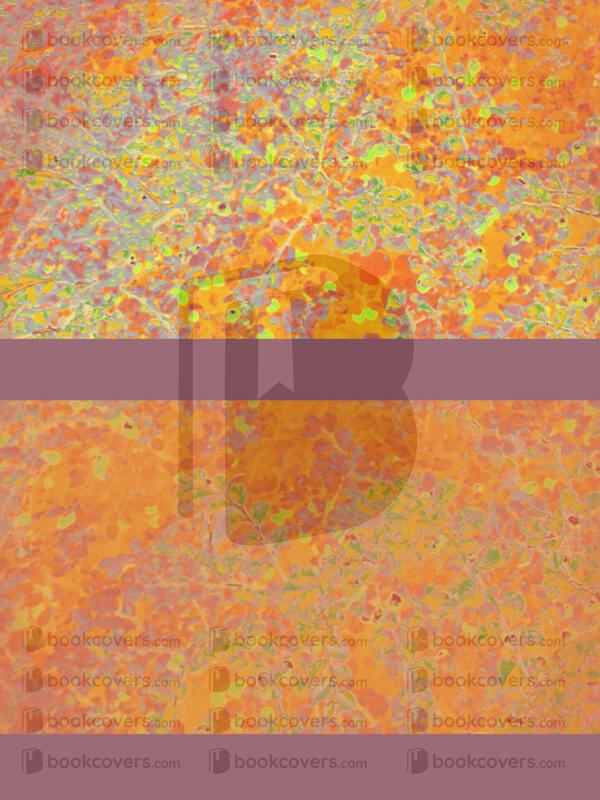 northernlight_26134384