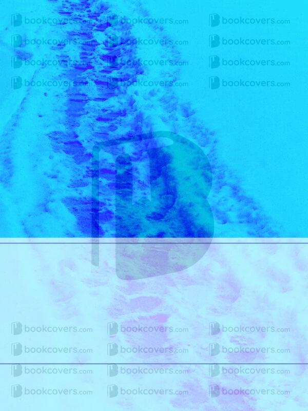 northernlight_26134738