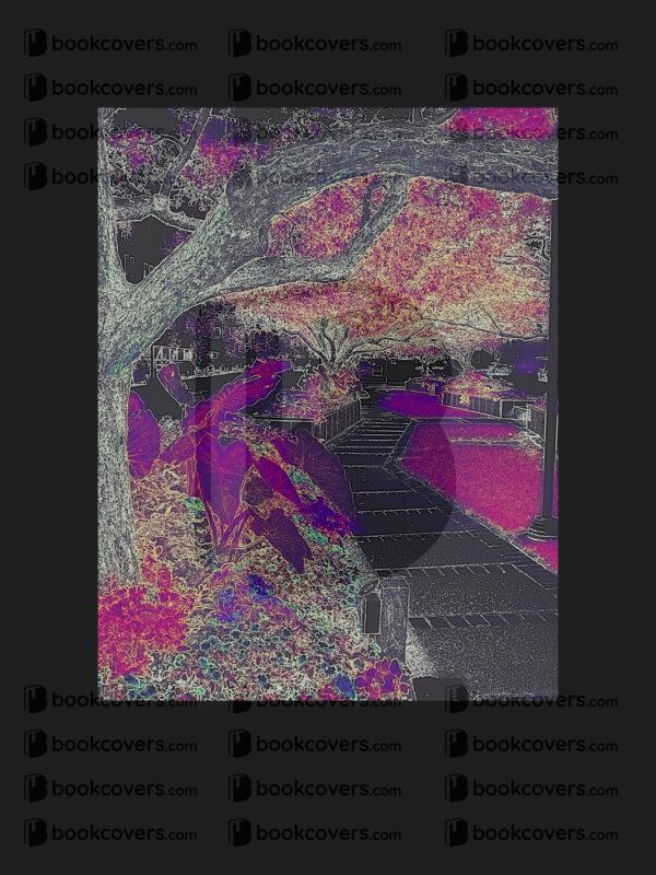 northernlight_26134931