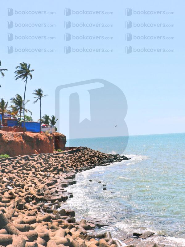 mds_26137557