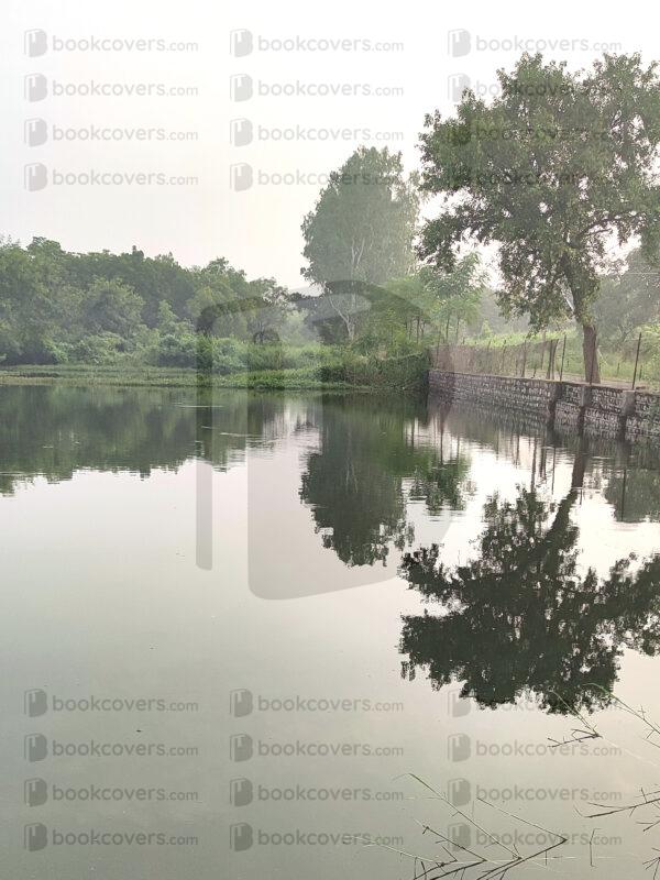 mds_26145447