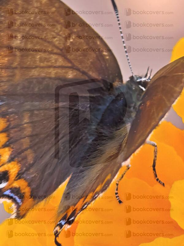 mds_26147076