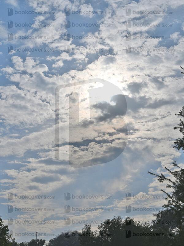 mds_26200753