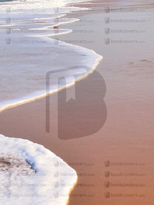 mds_26200267