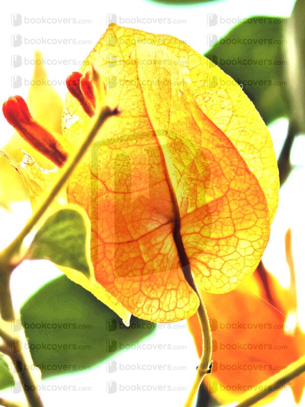 mds_26200633