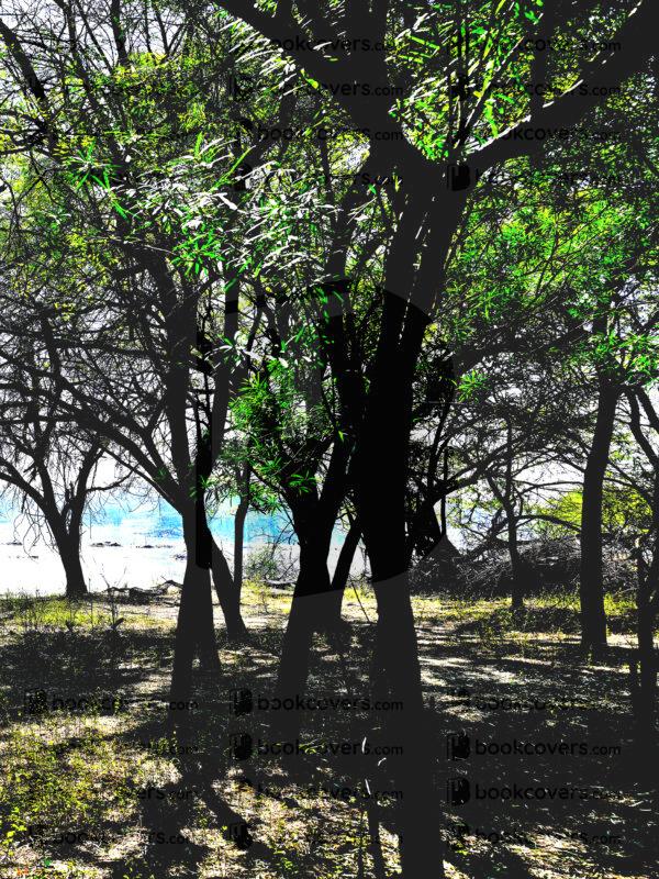 mds_26200676