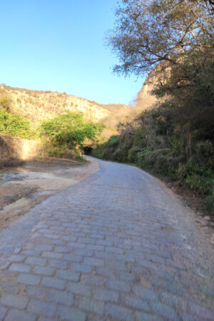 mds_26200752