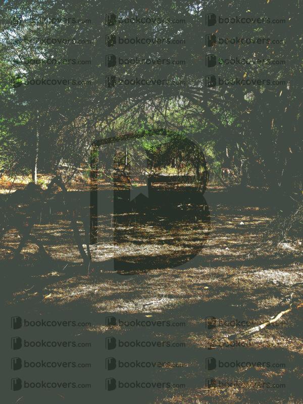 mds_26200059