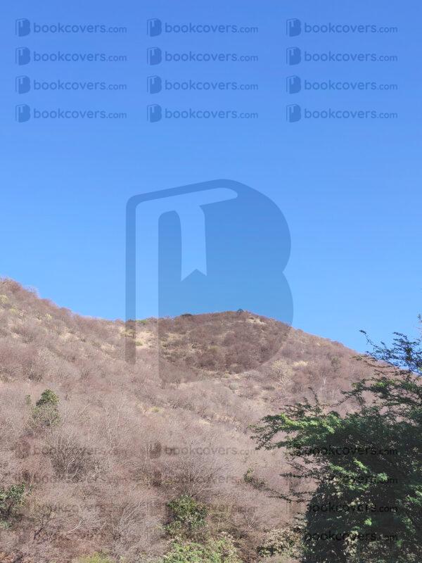 mds_26200167