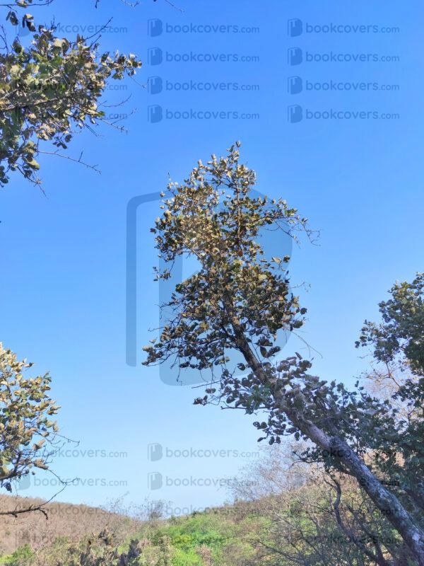 mds_26200569