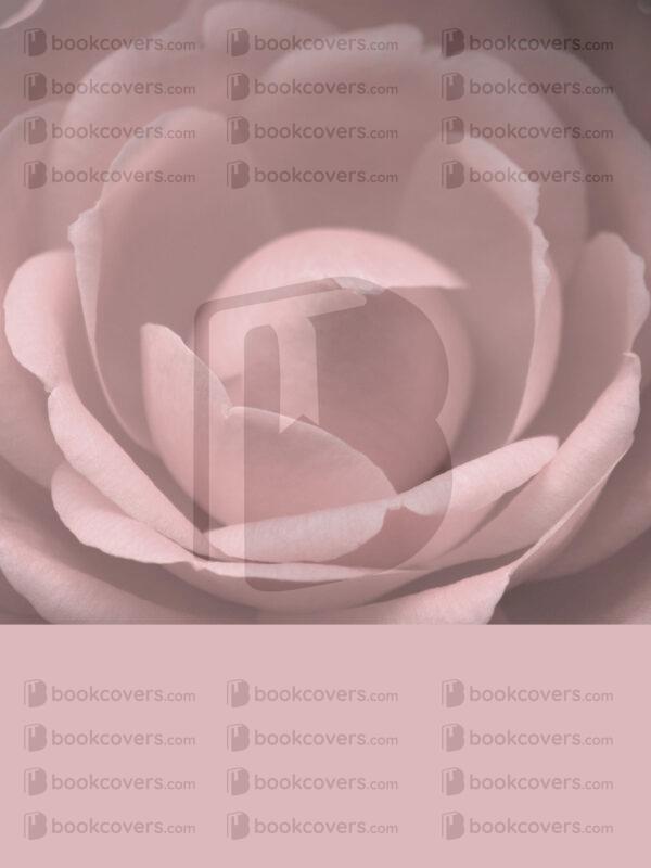 zw_designs_26148430