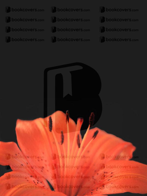 zw_designs_26148461